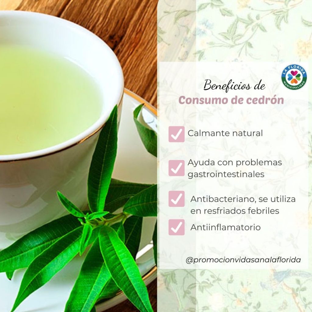 Los beneficios de consumir frutas y verduras